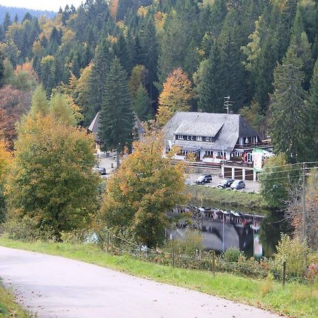 Klosterweiherhof Dachsberg im Schwarzwald Eksteriør billede