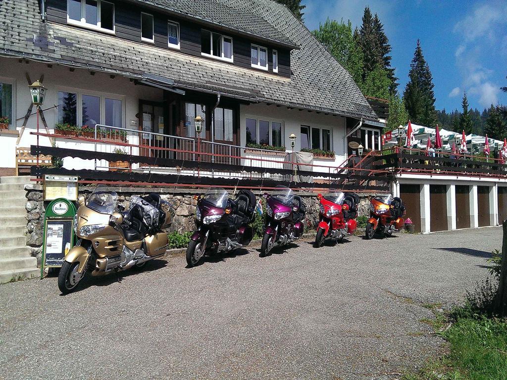 Klosterweiherhof Dachsberg im Schwarzwald Eksteriør billede