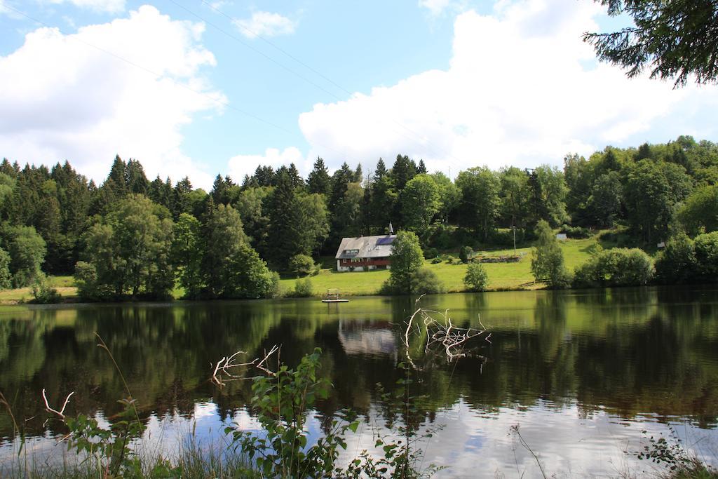 Klosterweiherhof Dachsberg im Schwarzwald Eksteriør billede